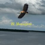 El vuelo de IKAL: El mensajero