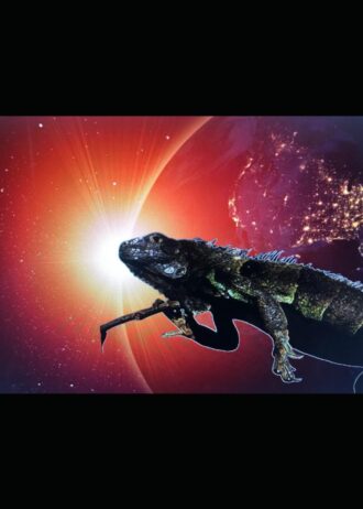 61aF+HQkXdL._SL1499_