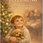 DEN LILLE MODIGE JULEDRENG: En fortælling om mod, kærlighed og julens lys